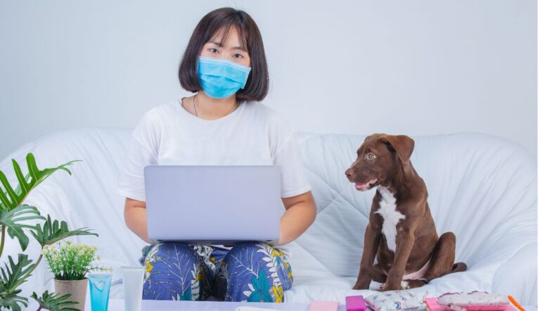 Spot Pet Insurance