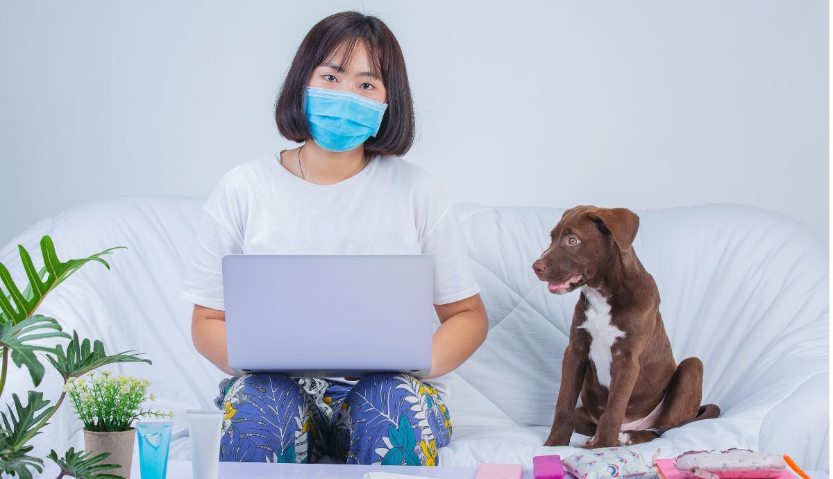 Spot Pet Insurance